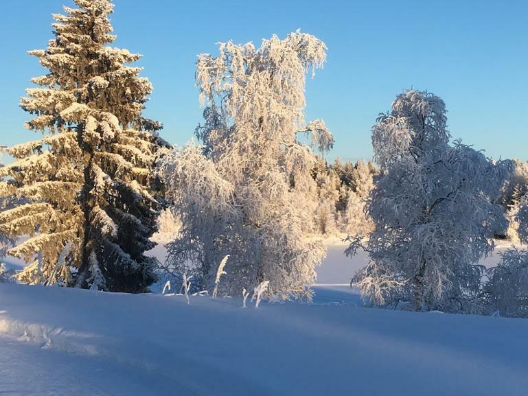 Pajala Cottages Route 99 Buitenkant foto
